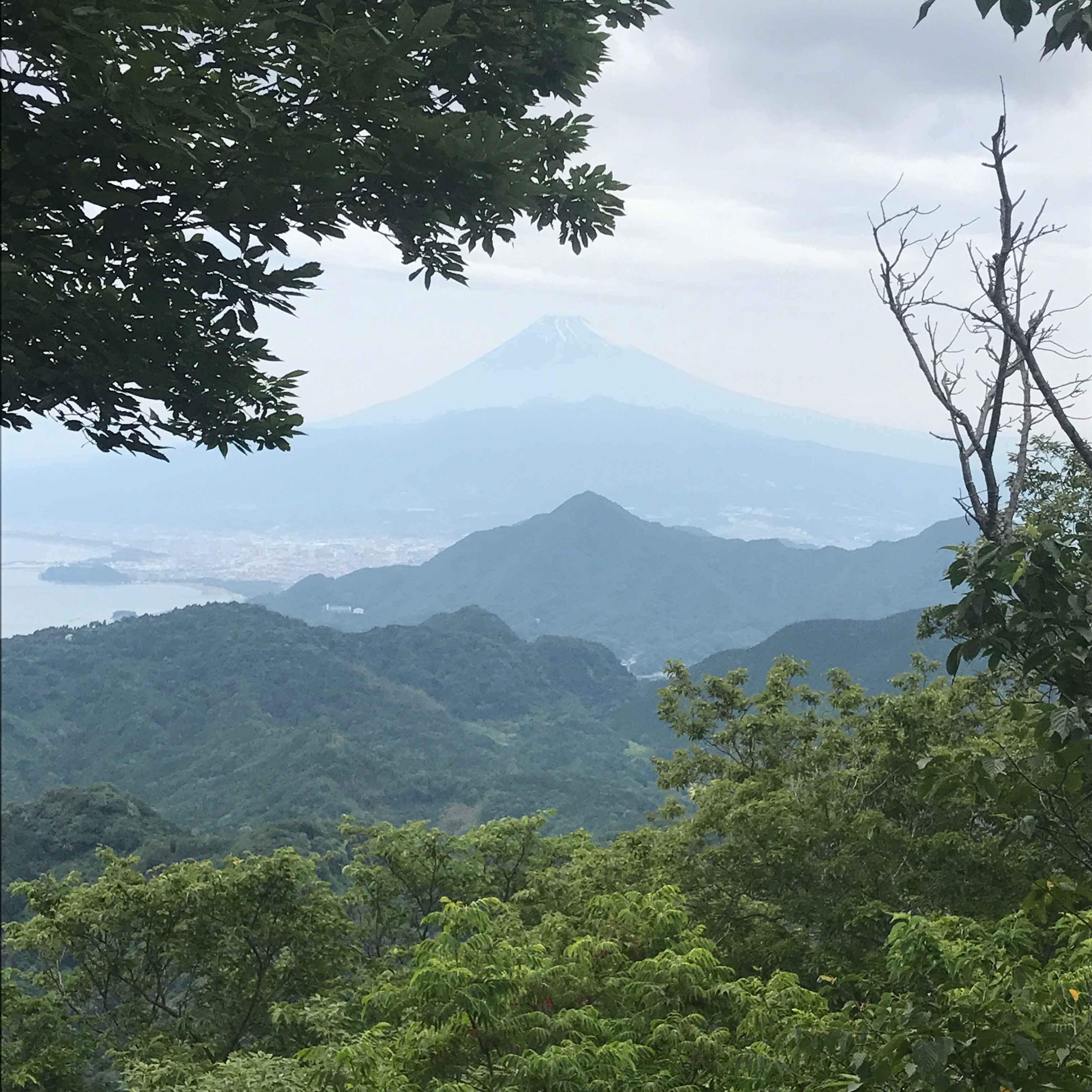 画像の説明