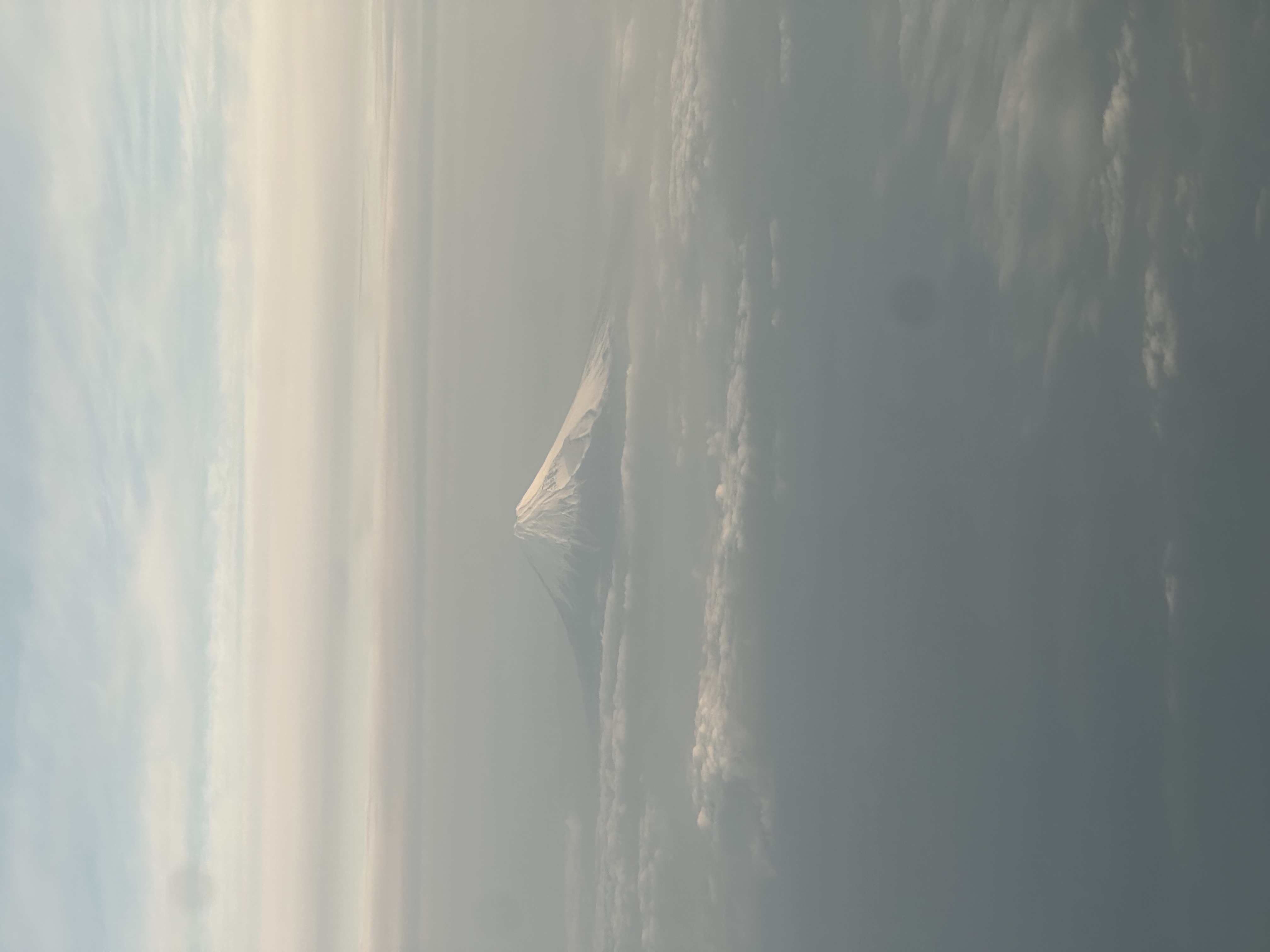 画像の説明