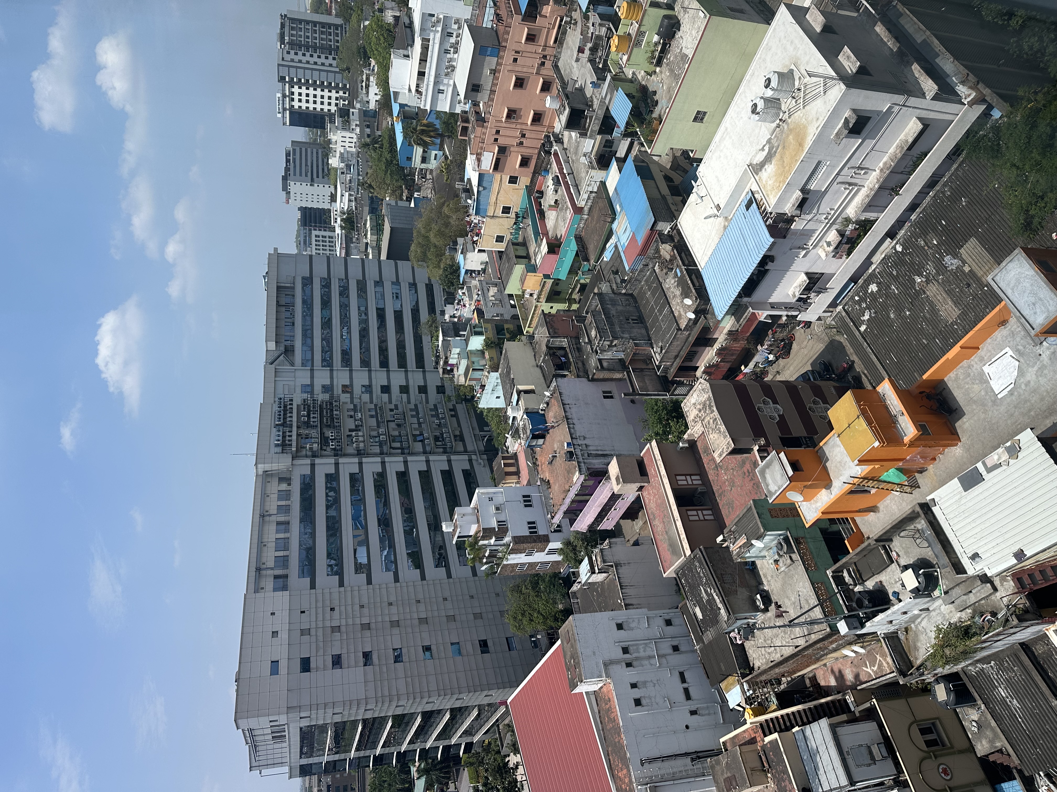 画像の説明