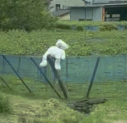 画像の説明