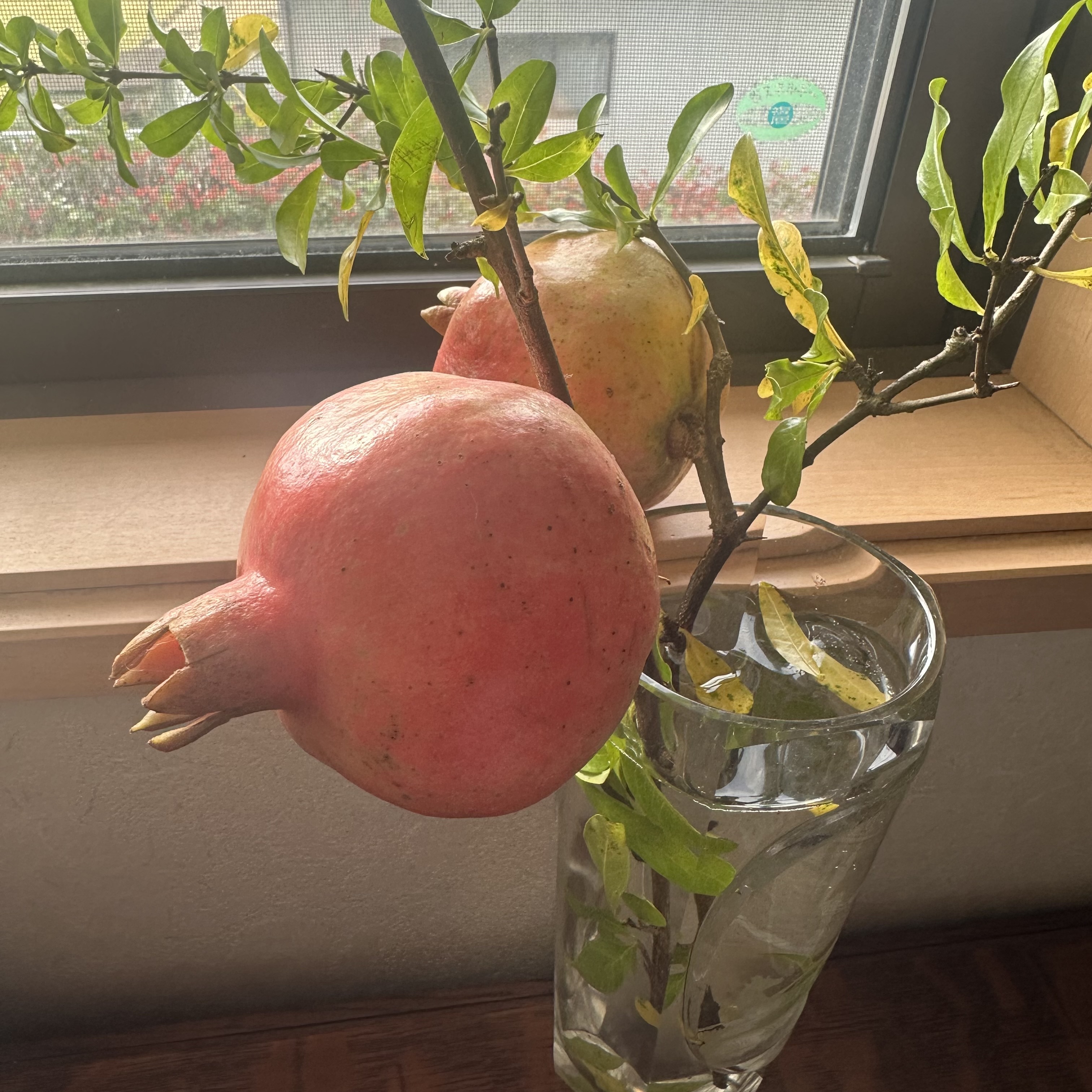 画像の説明
