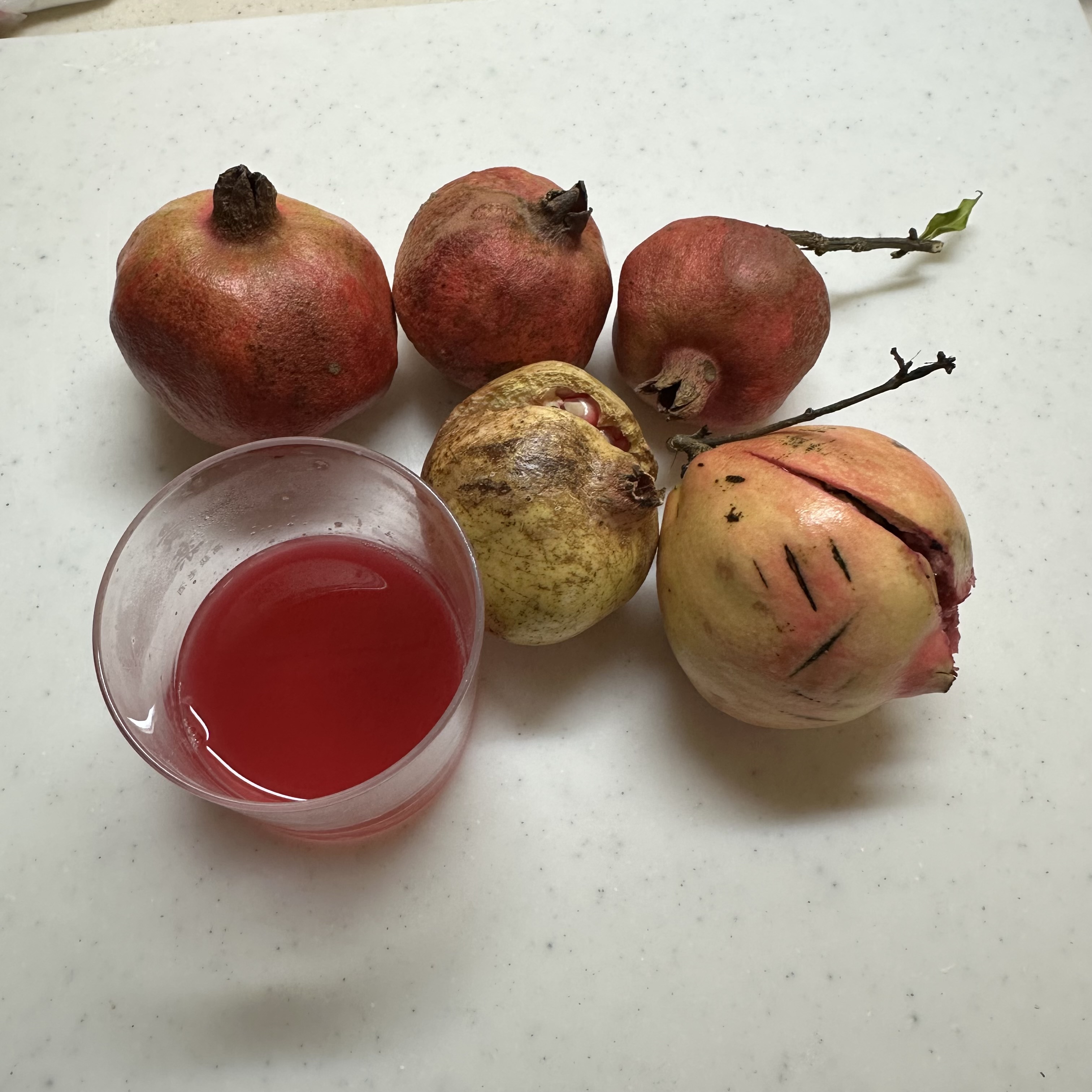 画像の説明 画像の説明